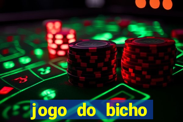 jogo do bicho crash bingo